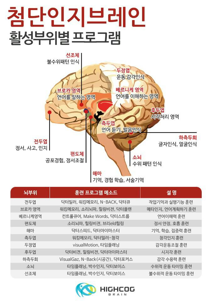 정관 첨단인지브레인센터